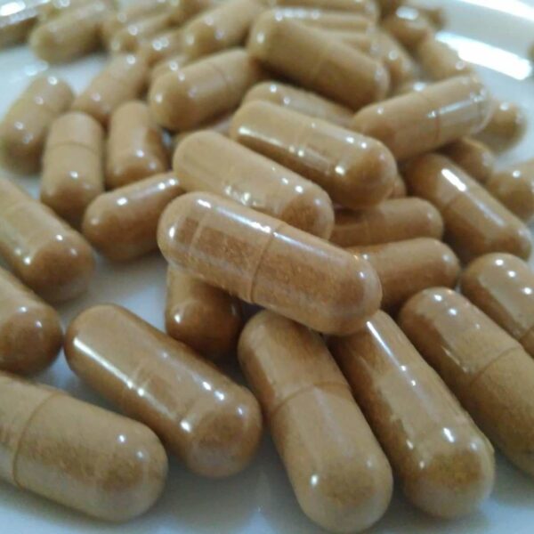 ibogaine capsule